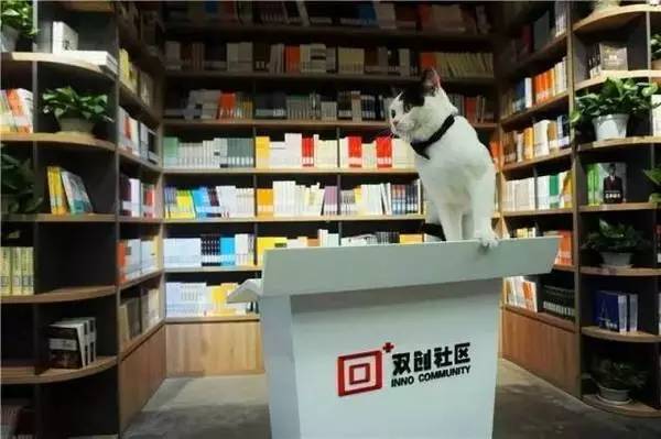 快帮云与回+——腾讯众创空间达成战略合作 配图 2